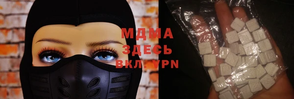 индика Алексин