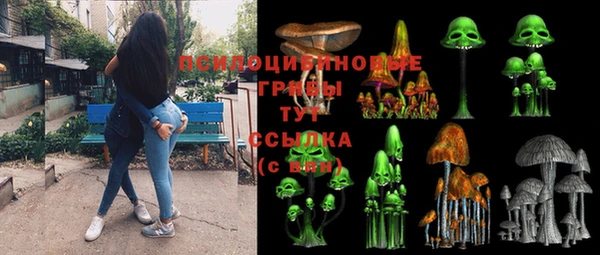 МДПВ Армянск