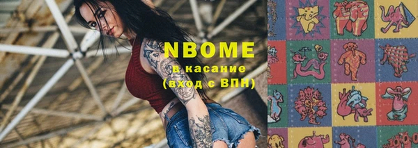 индика Алексин