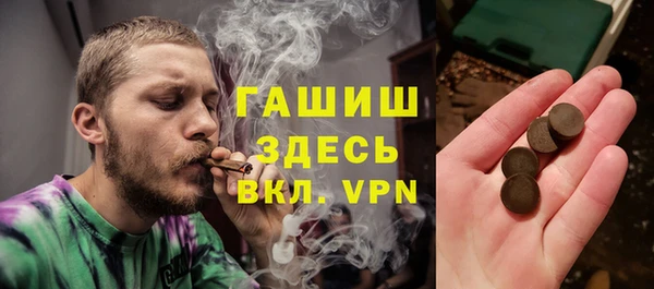 индика Алексин