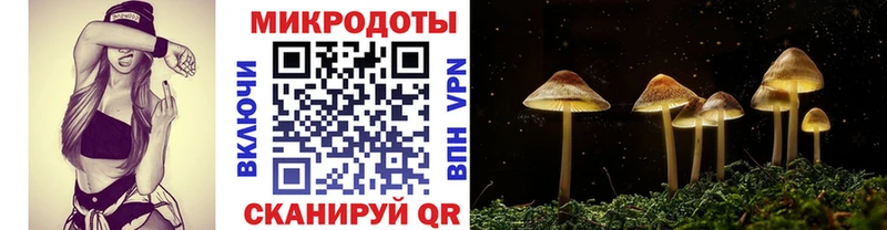 Галлюциногенные грибы Psilocybine cubensis  сайты даркнета клад  Александровск-Сахалинский 